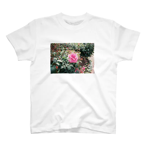 Pink Rose Film スタンダードTシャツ