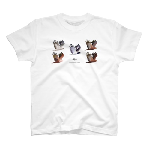 チュウヒ大集合 Regular Fit T-Shirt