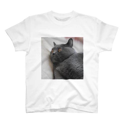 団子の猫2 スタンダードTシャツ