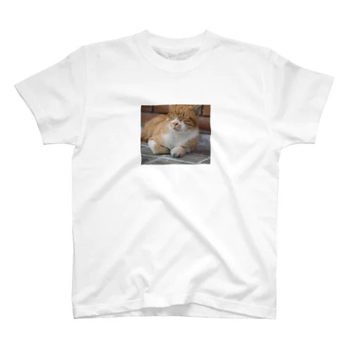 ウトウトしてる猫 Regular Fit T-Shirt