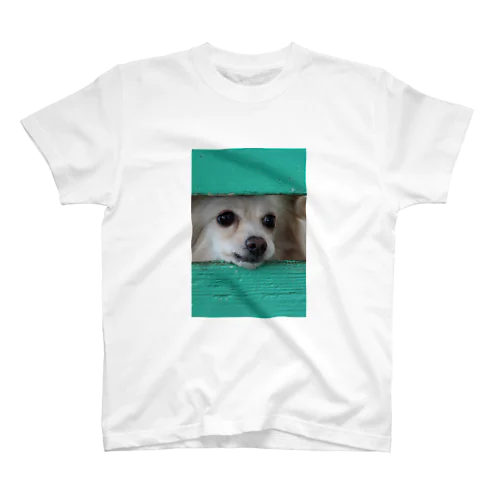 隙間から顔を出す犬 Regular Fit T-Shirt