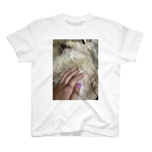 利用された犬 Regular Fit T-Shirt