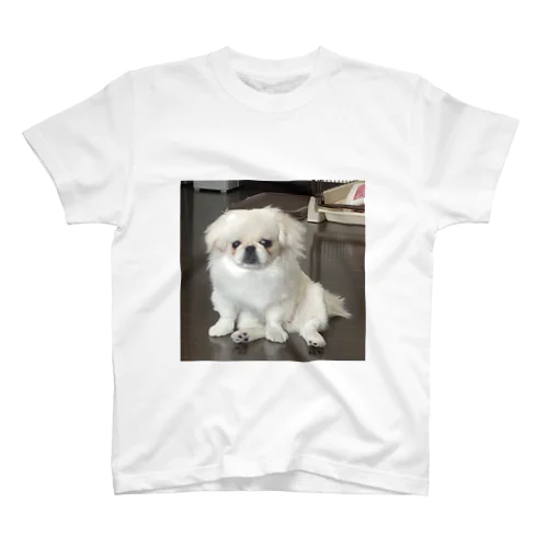 鼻ラプん家の犬 Regular Fit T-Shirt