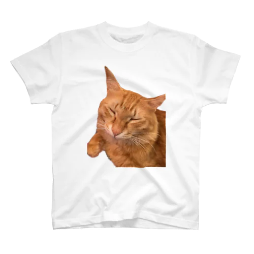ネムネム我が家のお猫様 Regular Fit T-Shirt