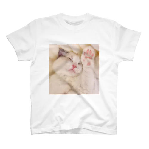 ミントくん🐱キャンドルテールのラグドール スタンダードTシャツ