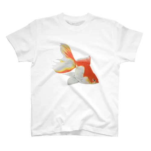 泳ぐ金魚 スタンダードTシャツ