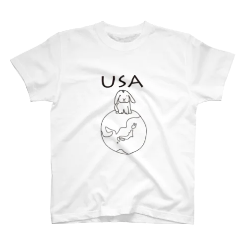 USA Regular Fit T-Shirt