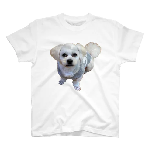 イケメン犬 スタンダードTシャツ