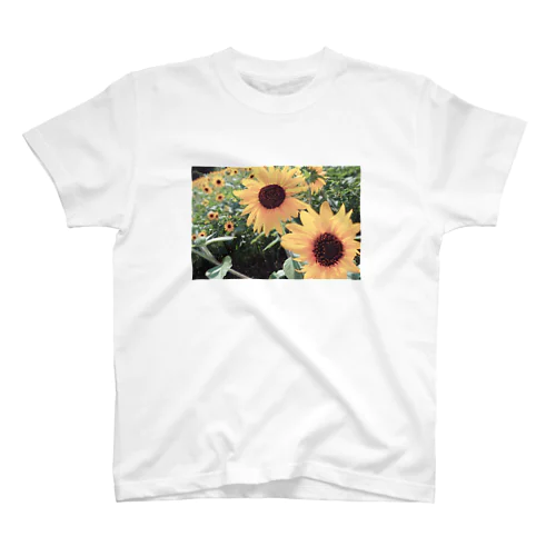 Sunflower スタンダードTシャツ