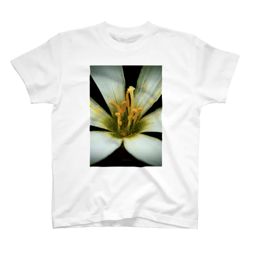 花弁(White) Regular Fit T-Shirt