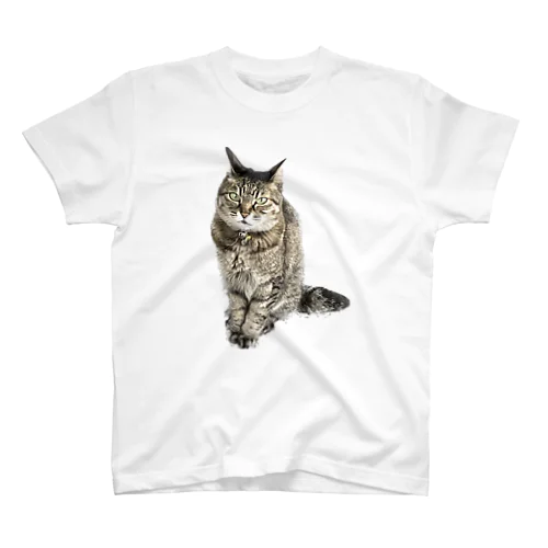 キメ猫 Regular Fit T-Shirt