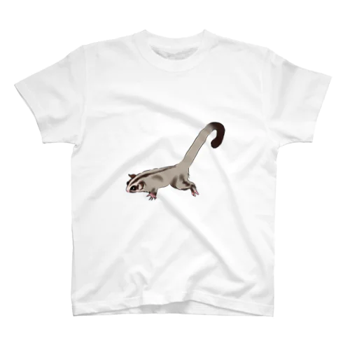 Walking Sugar glider! Regular Fit T-Shirt