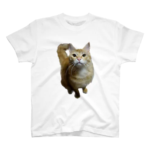 我が家のお猫様が見てます(笑) Regular Fit T-Shirt