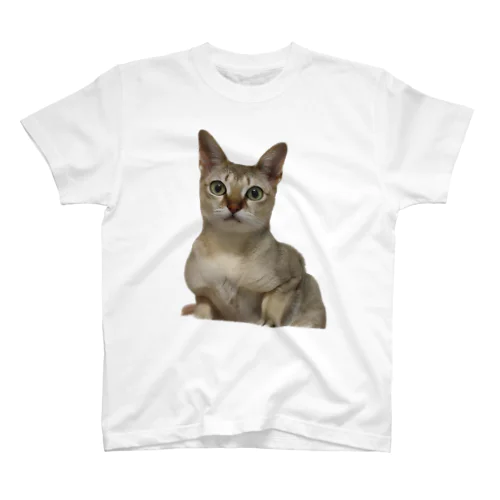 nyan Regular Fit T-Shirt