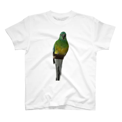 ビセイインコ スタンダードTシャツ