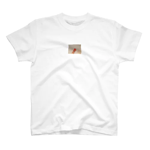 桃 Regular Fit T-Shirt