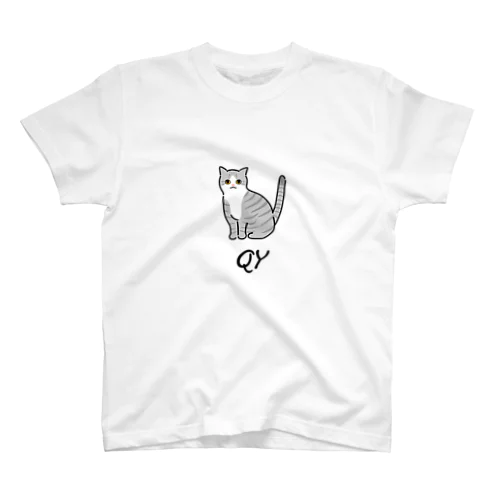 QY Regular Fit T-Shirt