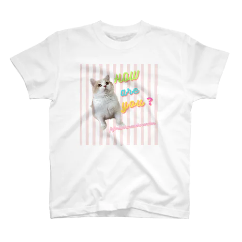 頑張れヨイチョくん スタンダードTシャツ