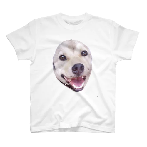犬、♪ スタンダードTシャツ