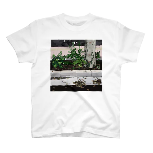 _ Regular Fit T-Shirt