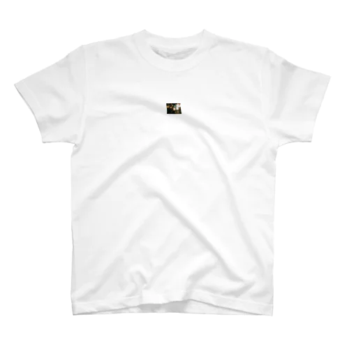 キレイめみみち Regular Fit T-Shirt