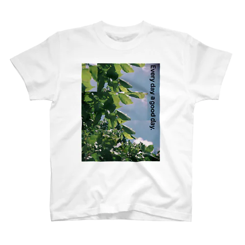 photo tee① スタンダードTシャツ