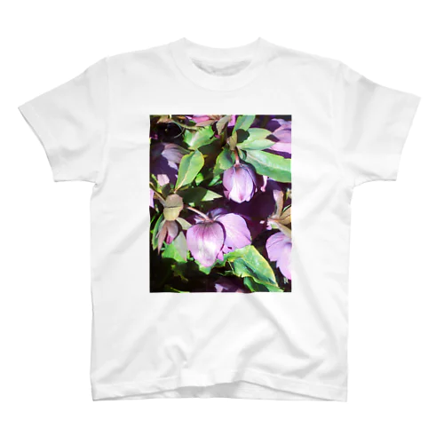 ヘレボルス亜種　(Helleborus)　(クリスマスローズ) スタンダードTシャツ