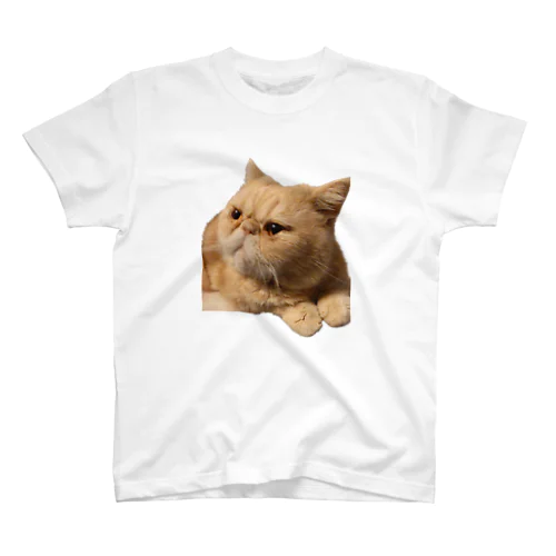 おやじ猫 Regular Fit T-Shirt