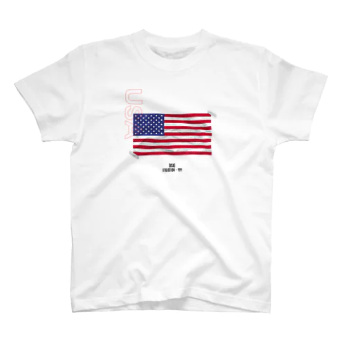 USA TEE Regular Fit T-Shirt