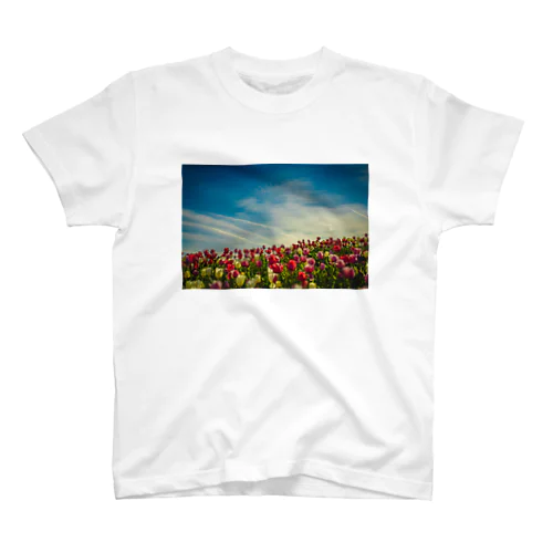 TULIP WORLD Regular Fit T-Shirt