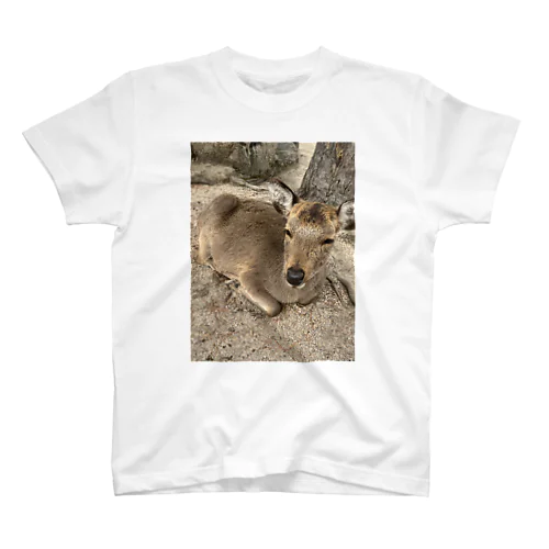 広島の鹿 Regular Fit T-Shirt
