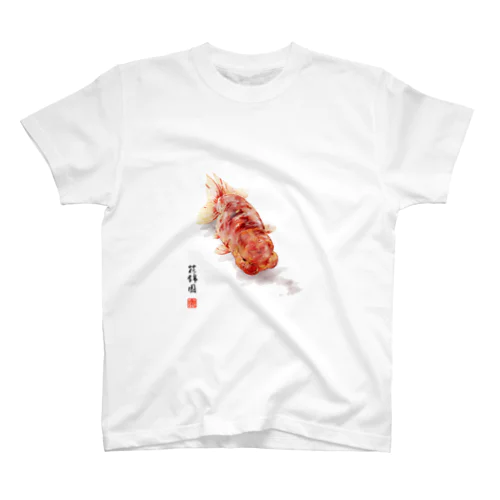 【金魚】桜錦～春陽に目覚め～ スタンダードTシャツ