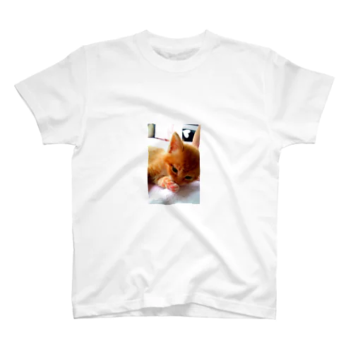 子猫 Regular Fit T-Shirt