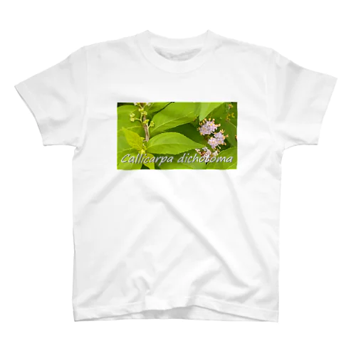 コムラサキ　Callicarpa dichotoma Regular Fit T-Shirt