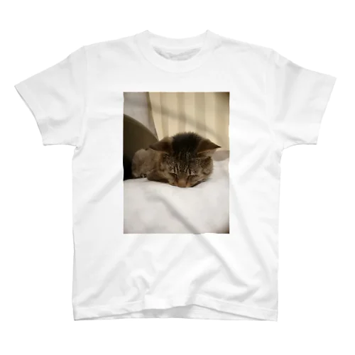 家の猫　茶虎 Regular Fit T-Shirt