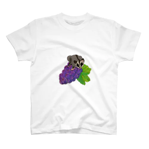 Sugar glider is on grapes! スタンダードTシャツ