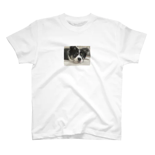 baby. Regular Fit T-Shirt