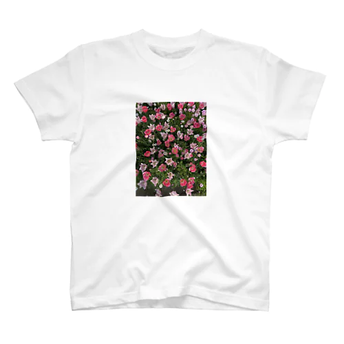 花畑　 スタンダードTシャツ