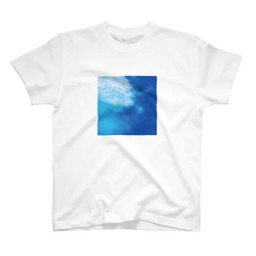 #002 Sea like sky, sky like sea スタンダードTシャツ