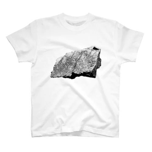 石004 Regular Fit T-Shirt