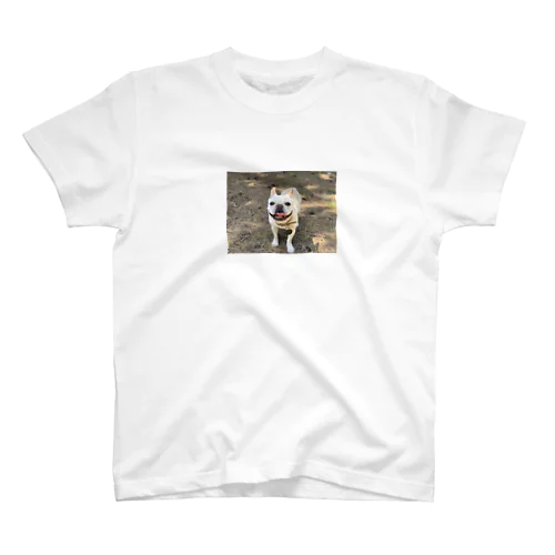 Biz the frenchie Regular Fit T-Shirt