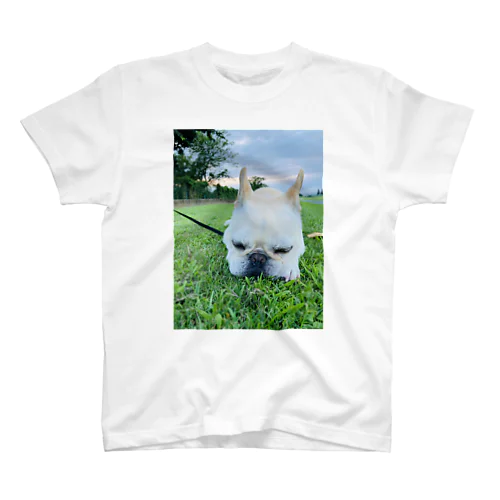 Biz the Frenchbulldog Regular Fit T-Shirt