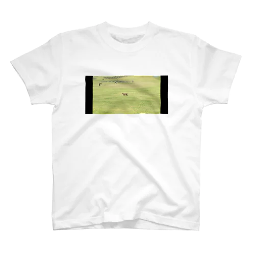 ゴルフの打ちっぱなし練習場に住まうネコ スタンダードTシャツ