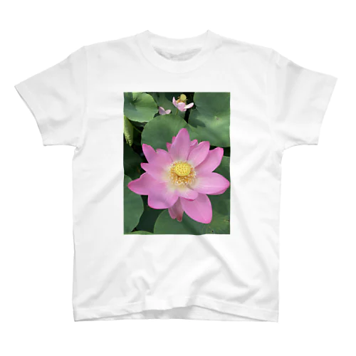 蓮の花 スタンダードTシャツ