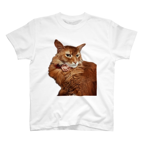 ソマリ猫　パスカル Regular Fit T-Shirt