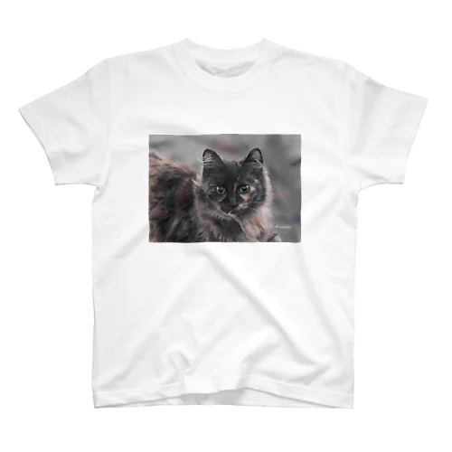 河原の野良猫ケムリ スタンダードTシャツ