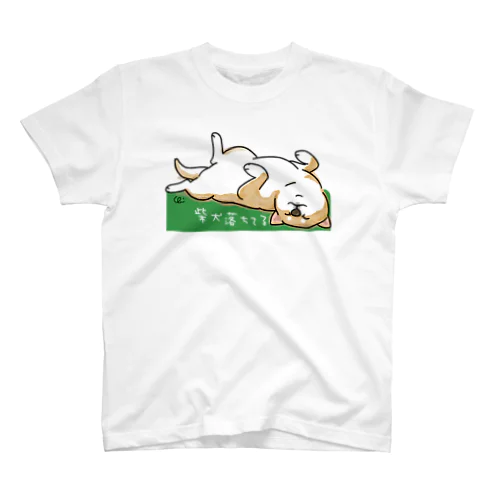 柴犬落ちてる（茶）背景グリーン スタンダードTシャツ