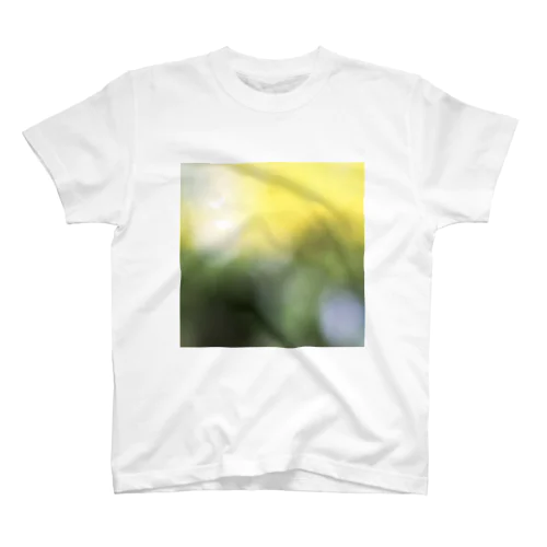 写真　抽象　グラデーション Regular Fit T-Shirt