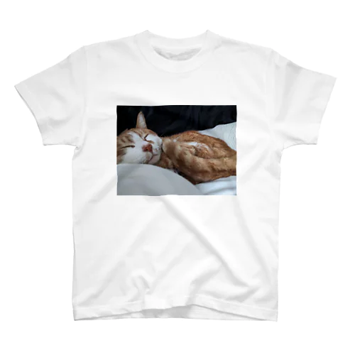 寝てる猫 Regular Fit T-Shirt