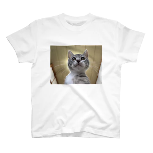 保護猫ベジータ　神 スタンダードTシャツ